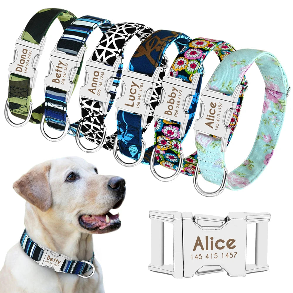 Pet Collars and Harnesses