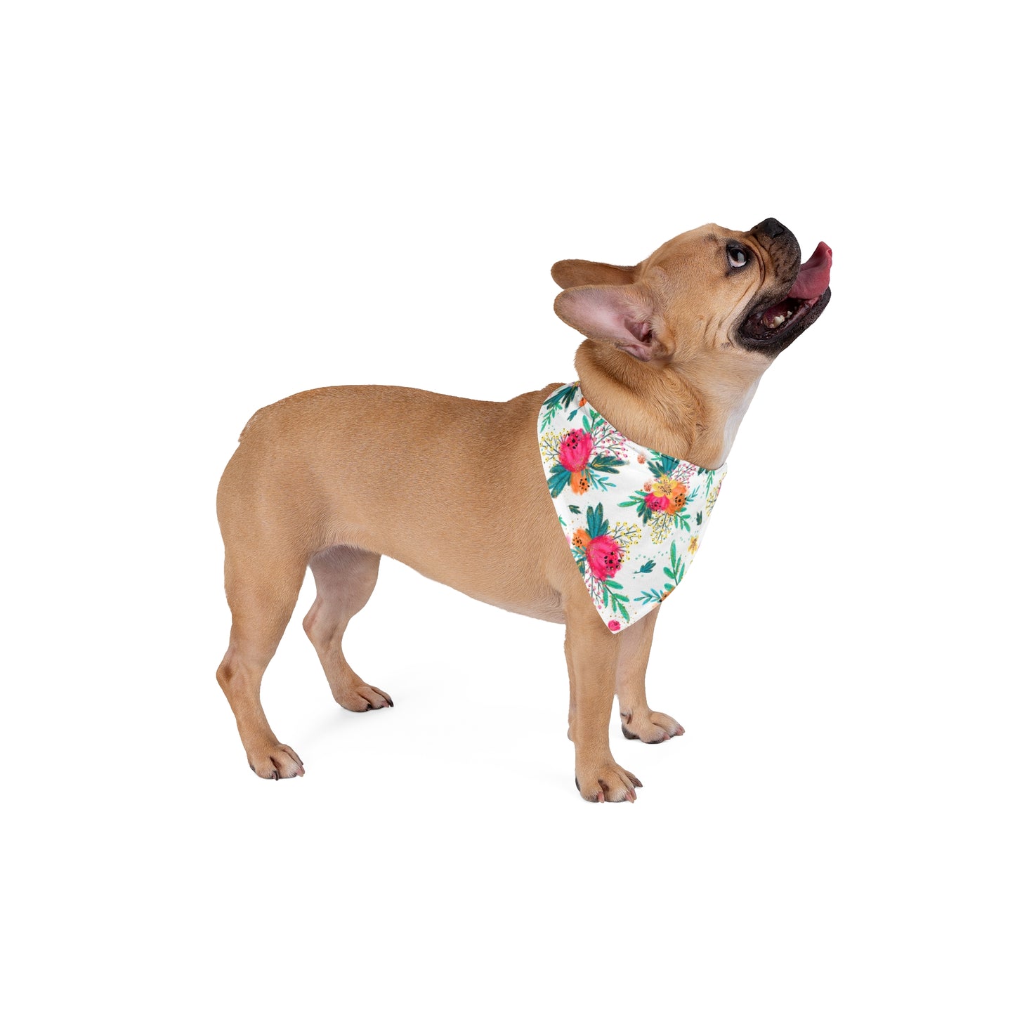 Bandana, Australian Floral, Pet Bandana