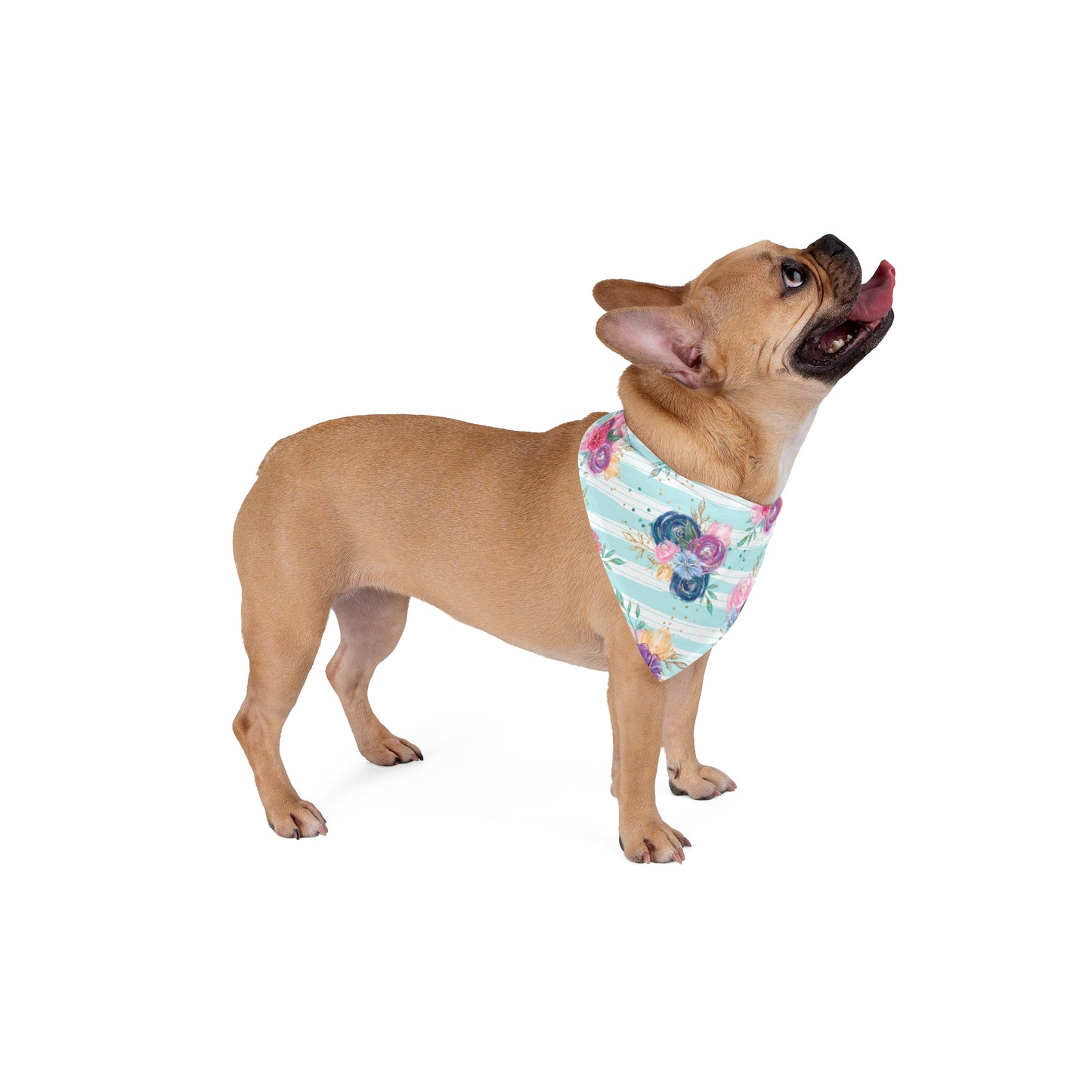 Bandana, Floral Pet Bandana