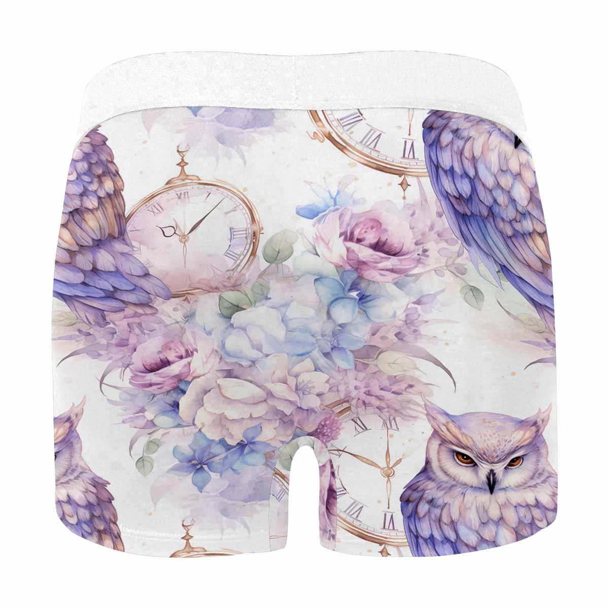 Pastel Owls Men's All Over Print Boxer Briefs (Made In AUS)