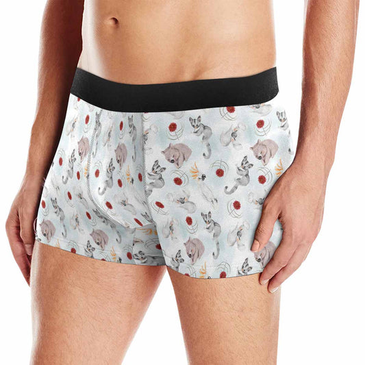 Australian Animals Koala Wombat Sugar Glider Cockatoo  AUS Men's Boxer Briefs (Made In AUS)