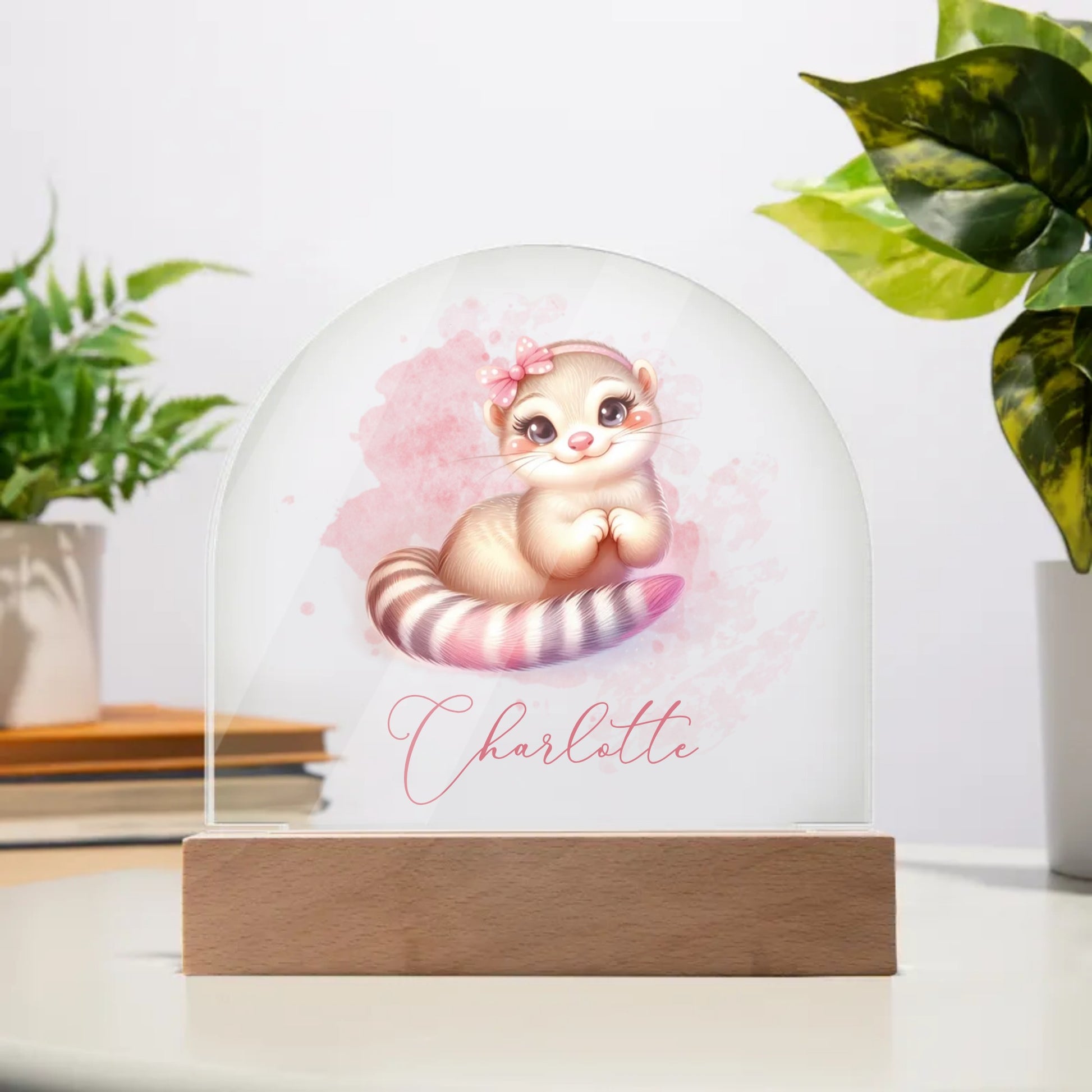 Personalised Meerkat Acrylic Dome Plaque Wooden Base Night Light