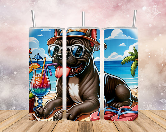 Skinny Tumbler with Straw, 20oz, Dog on Beach, Cane Corso, awd-1202