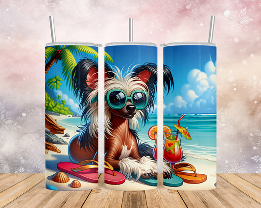 Skinny Tumbler with Straw, 20oz, Dog on Beach, Chinese Crested, awd-1206