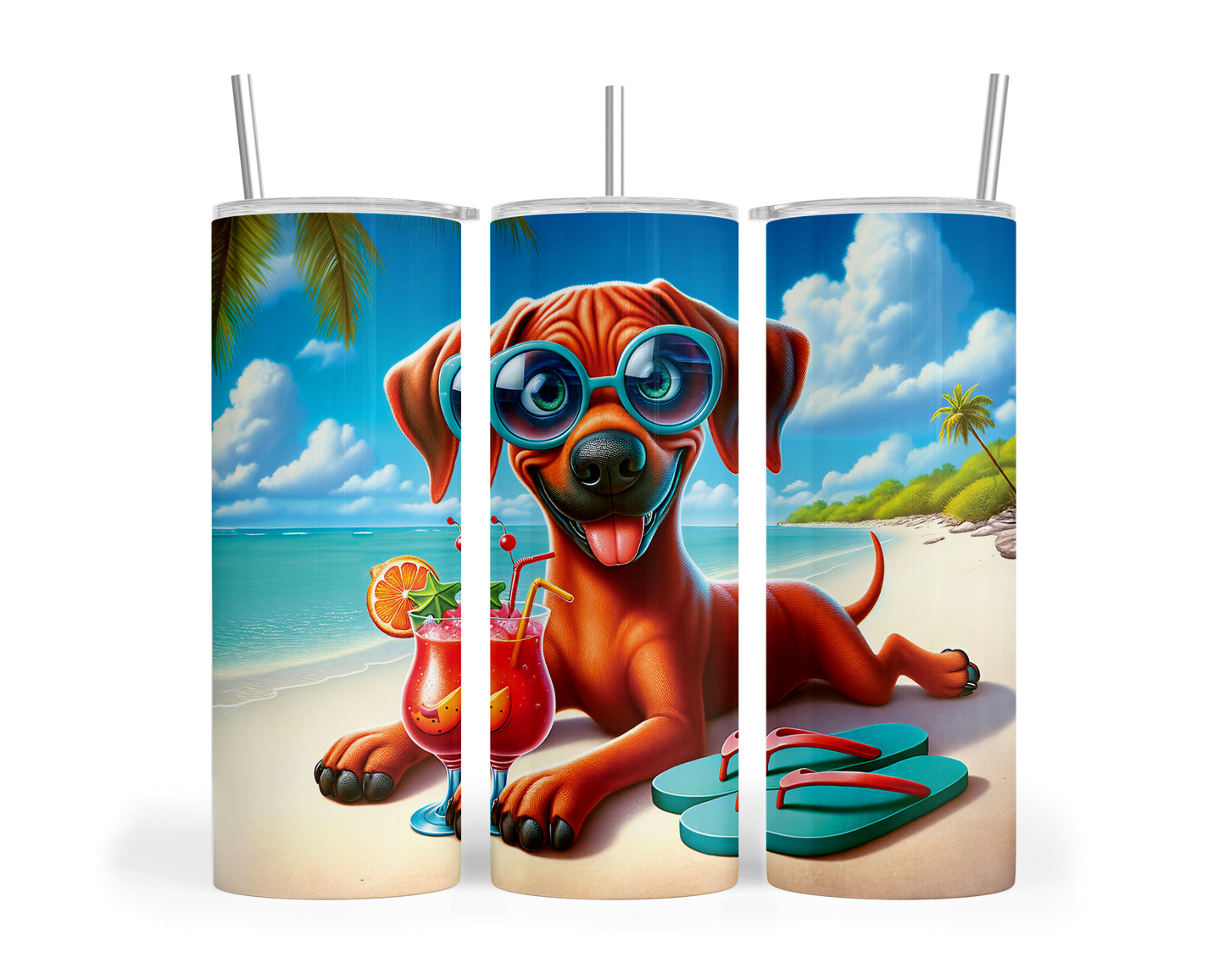 Skinny Tumbler with Straw, 20oz, Dog on Beach, Rhodesian Ridgeback, awd-1238