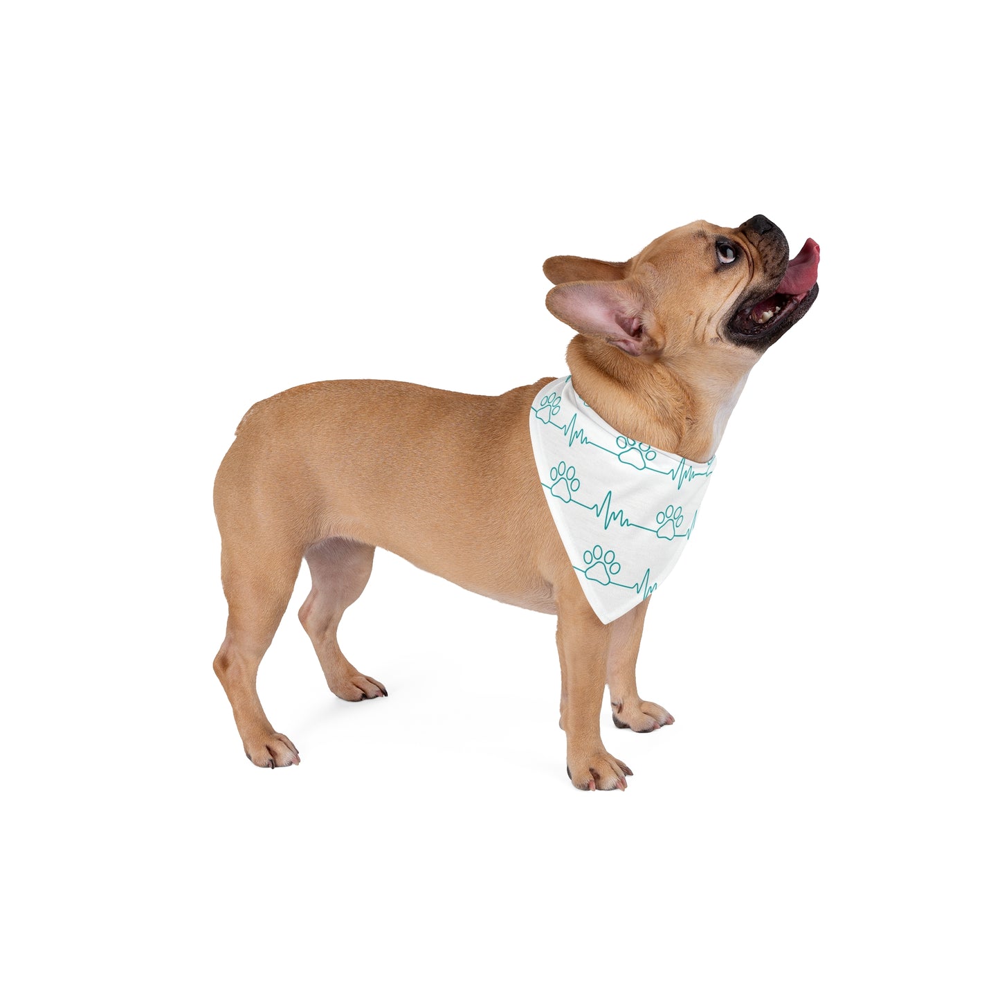 Bandana, Paw Heartbeat Pet Bandana