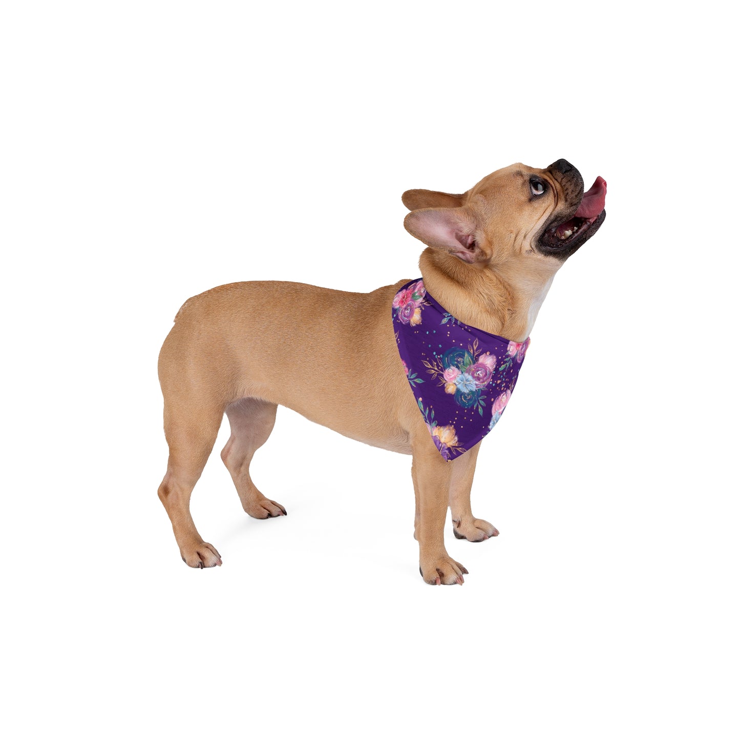 Bandana, Floral Pet Bandana