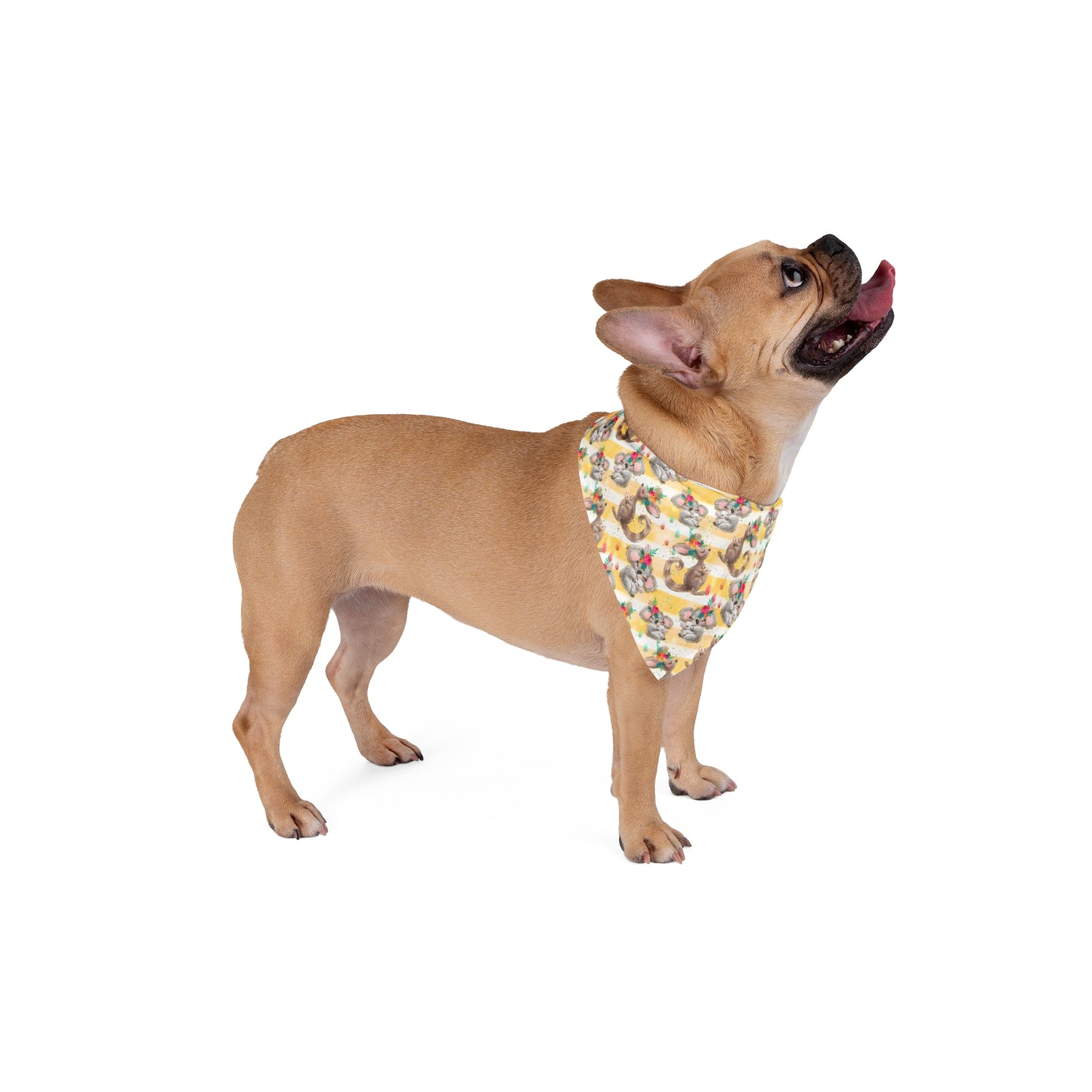 Bandana, Australian Animals, Pet Bandana