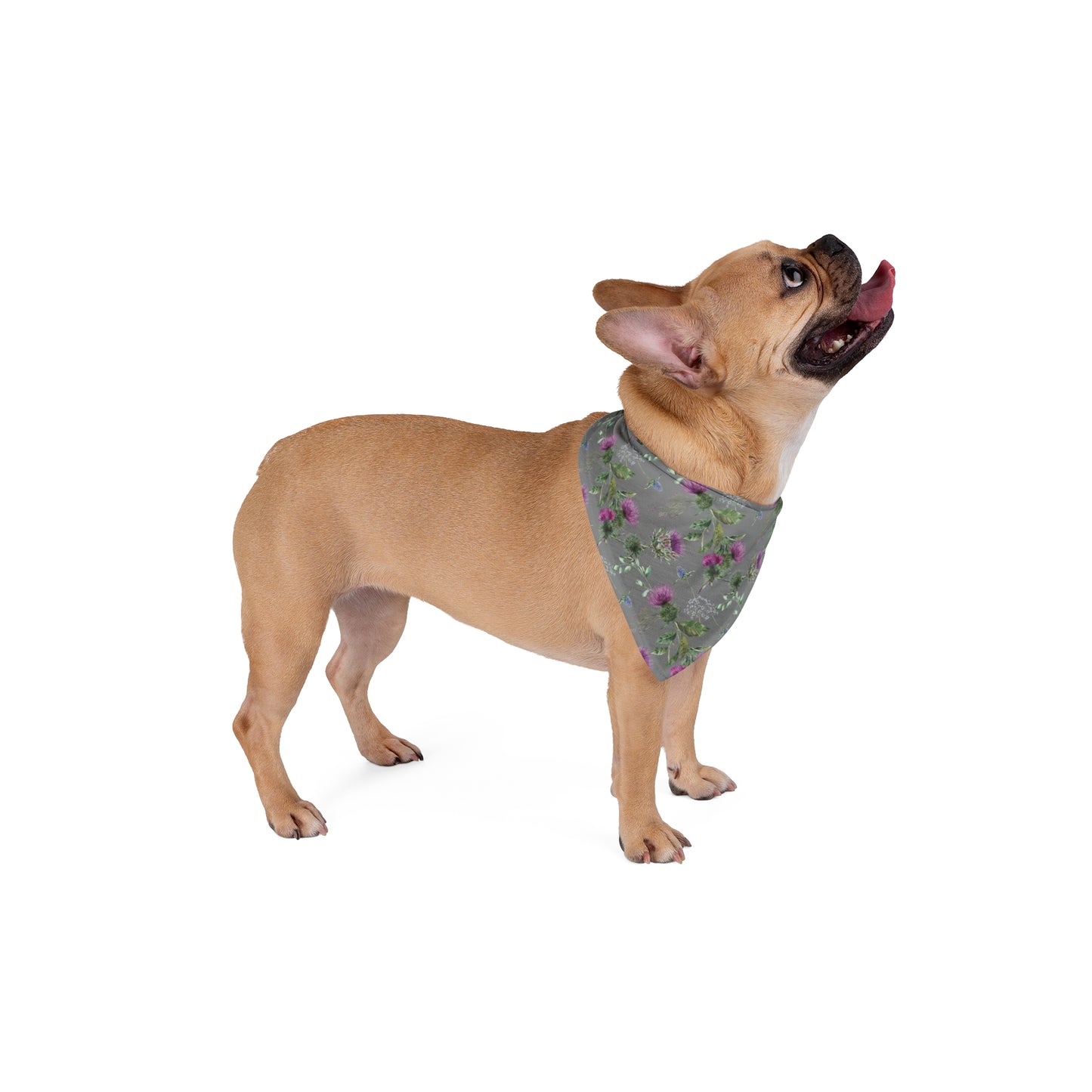 Bandana, Scottish Floral Pet Bandana