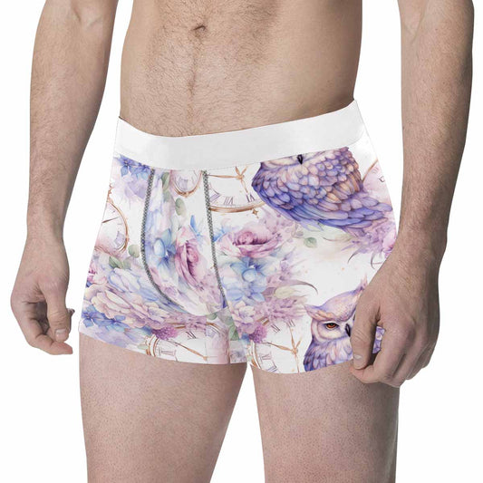 Pastel Owls Men's All Over Print Boxer Briefs (Made In AUS)