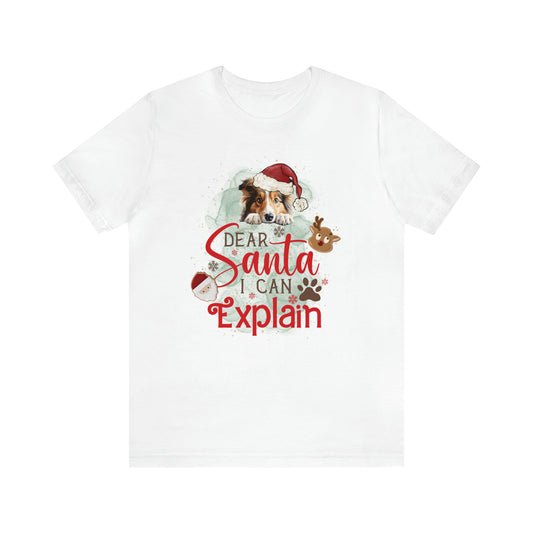 Unisex Jersey Short Sleeve Tee, Dog Paws, Dear Santa I Can Explain, Dear Santa Tee, Christmas Tee, Super Soft 9 Sizes