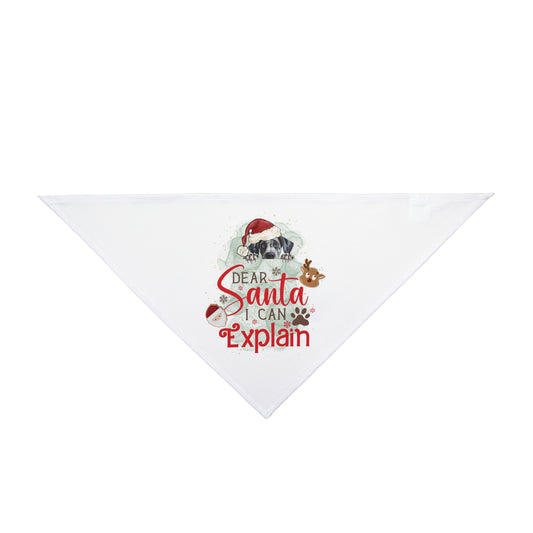 Bandana, Dear Santa I can Explain, Christmas Pet Bandana