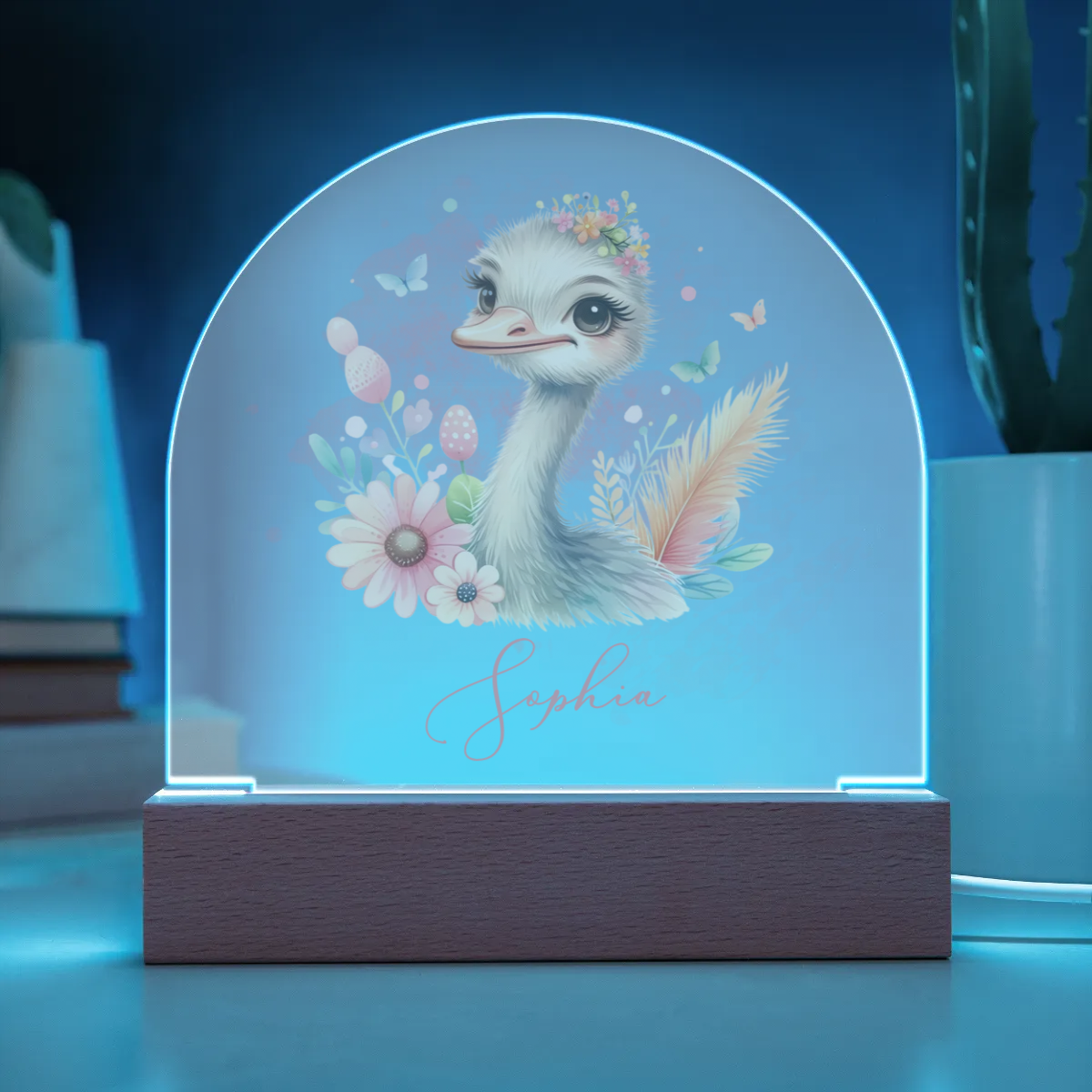 Personalised Ostrich Acrylic Dome Plaque Wooden Plaque Night Light