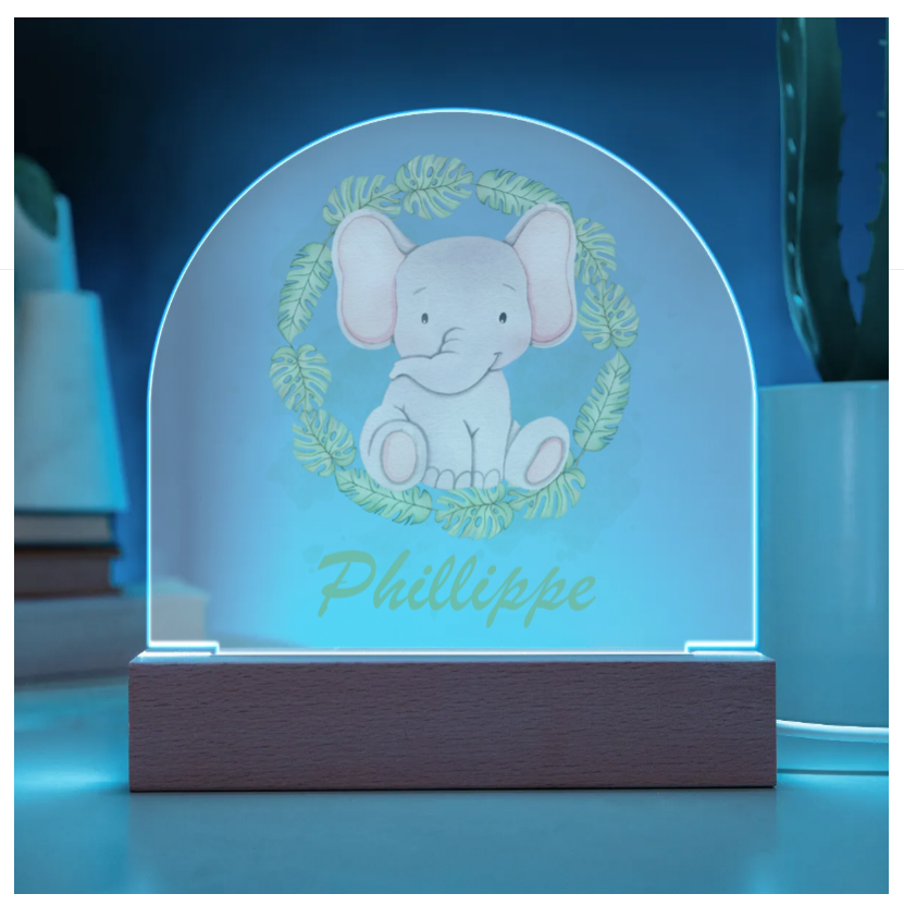 Personalised Safari Wreath Acrylic Dome Plaque Night Light
