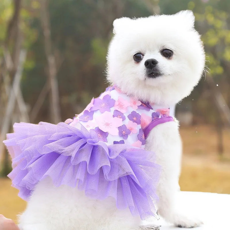 Dog Summer Dress Lace Chiffon Dress for Small Dogs Cat Lovely Floral Dress Pet Party Birthday Skirt Costumes Dog Wedding Dress