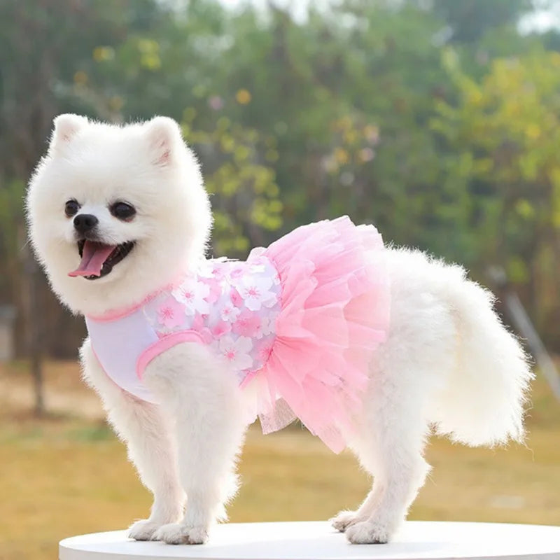 Dog Summer Dress Lace Chiffon Dress for Small Dogs Cat Lovely Floral Dress Pet Party Birthday Skirt Costumes Dog Wedding Dress