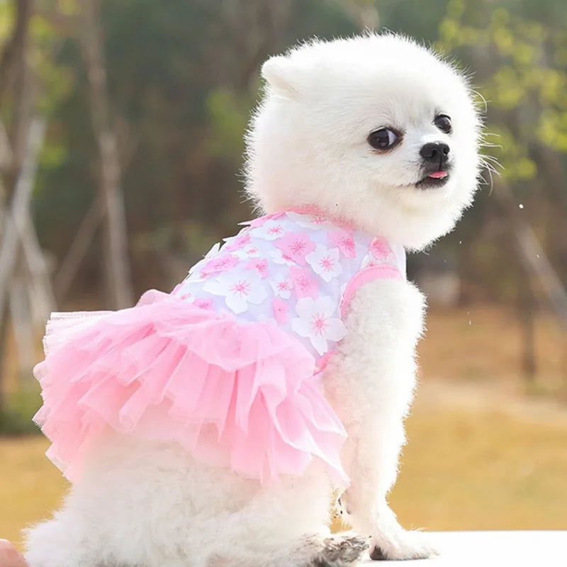 Dog Summer Dress Lace Chiffon Dress for Small Dogs Cat Lovely Floral Dress Pet Party Birthday Skirt Costumes Dog Wedding Dress