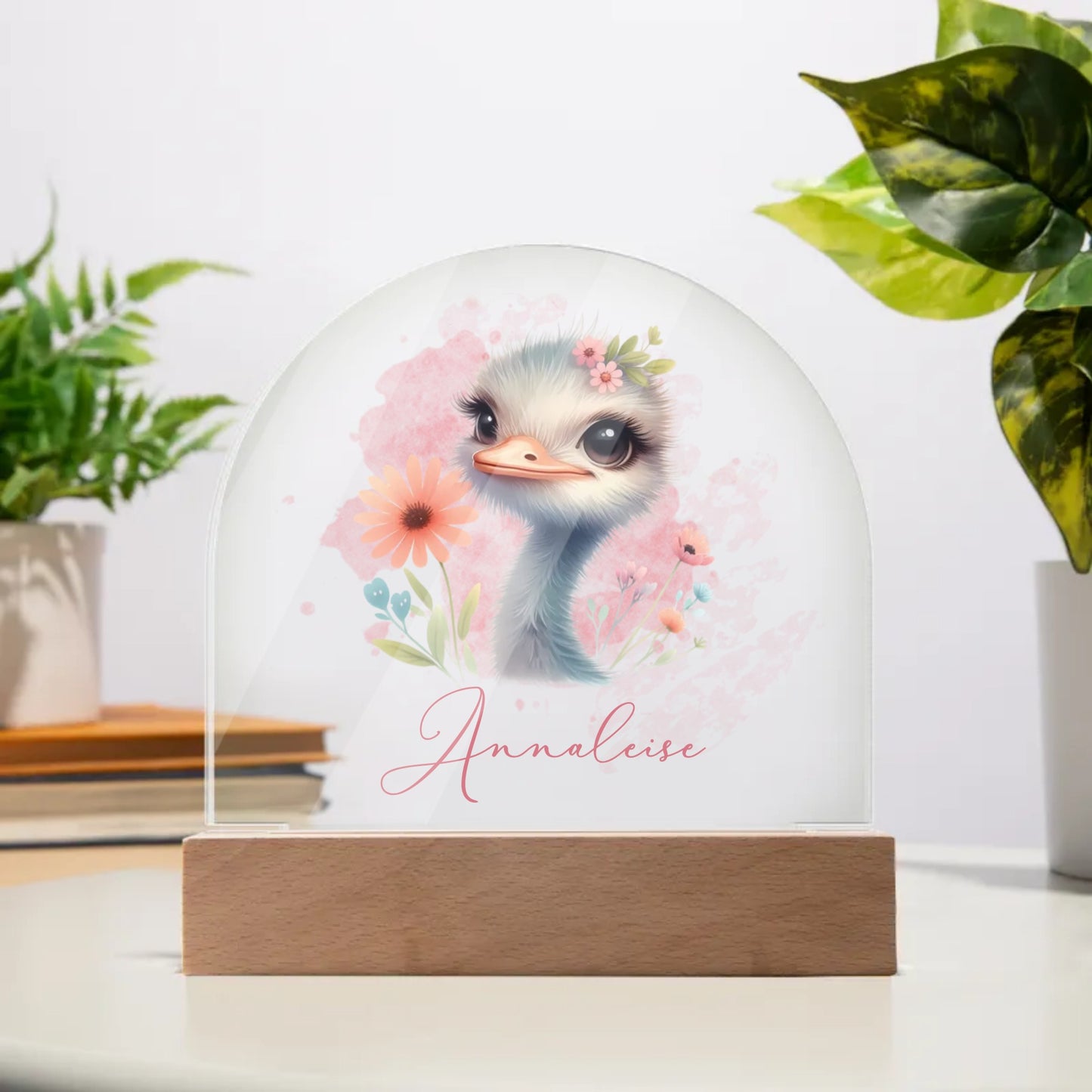 Personalised Ostrich Acrylic Dome Plaque Wooden Base Night Light