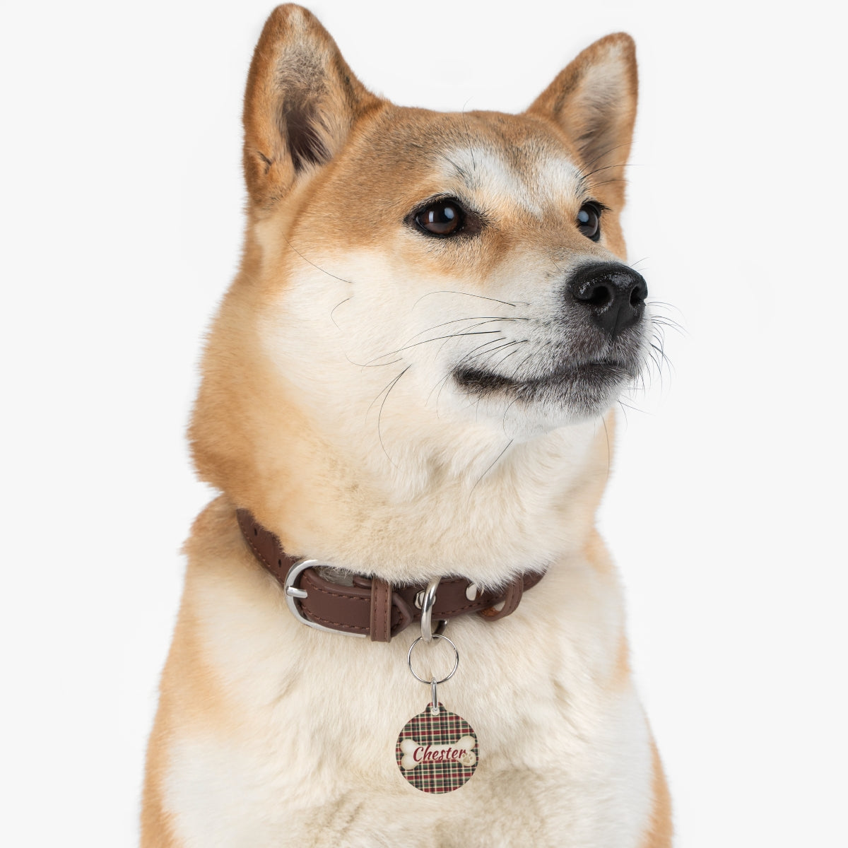 Tartan Collection 25 - Pet Tag Round and Bone Shape, Bandana, Lead, Dinner Bowl, Pet Bed
