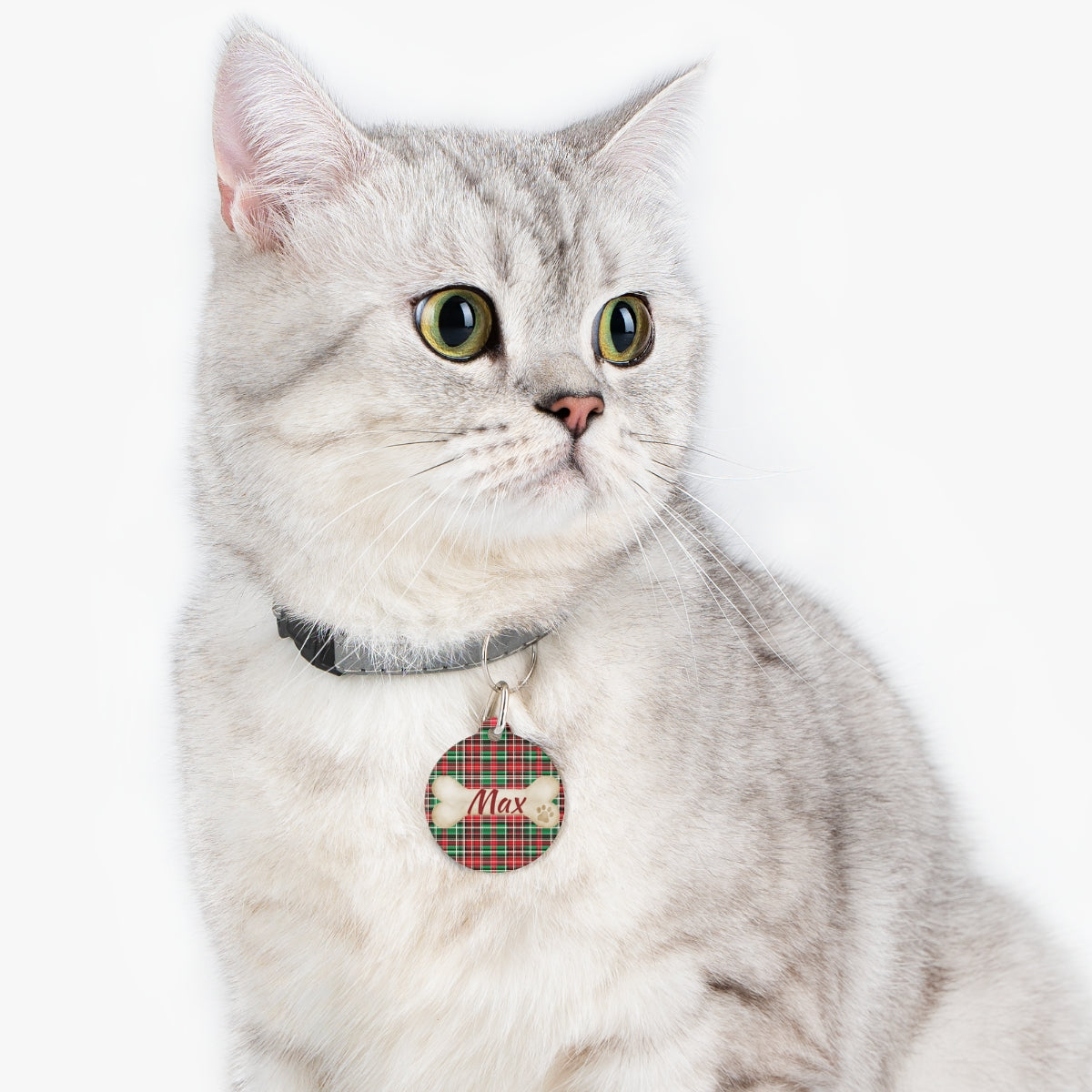 Tartan Collection 10 - Pet Tag Round and Bone Shape, Bandana, Lead, Dinner Bowl, Pet Bed