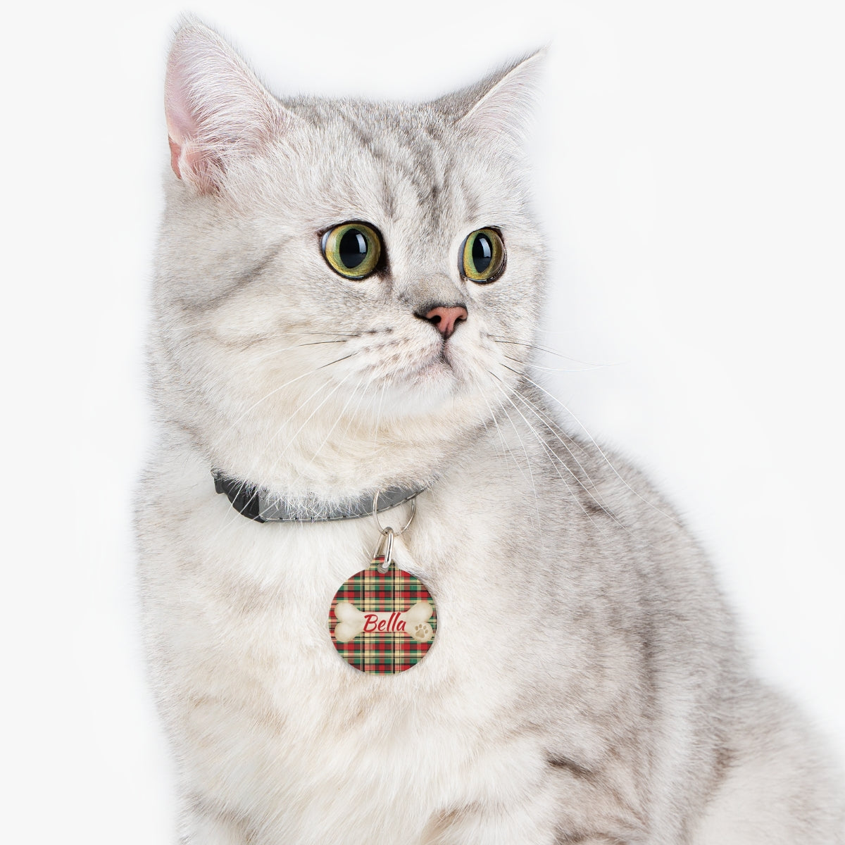 Tartan Collection 6 - Pet Tag Round and Bone Shape, Bandana, Lead, Dinner Bowl, Pet Bed