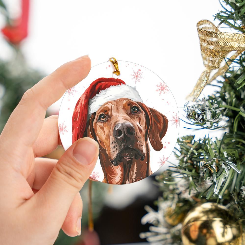 Rhodesian-Ridgeeback-2 Christmas Ornament