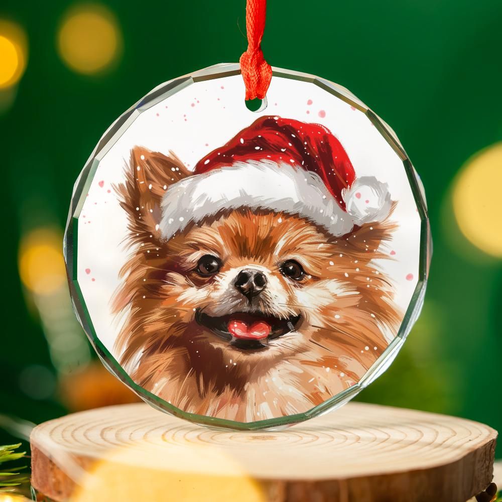 Pomeranjan-1 Christmas Ornament