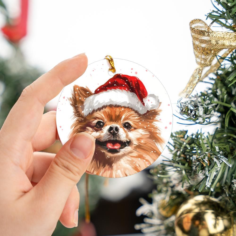 Pomeranjan-1 Christmas Ornament